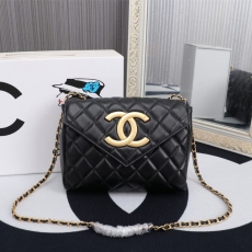 Chanel Other Stachel Bags